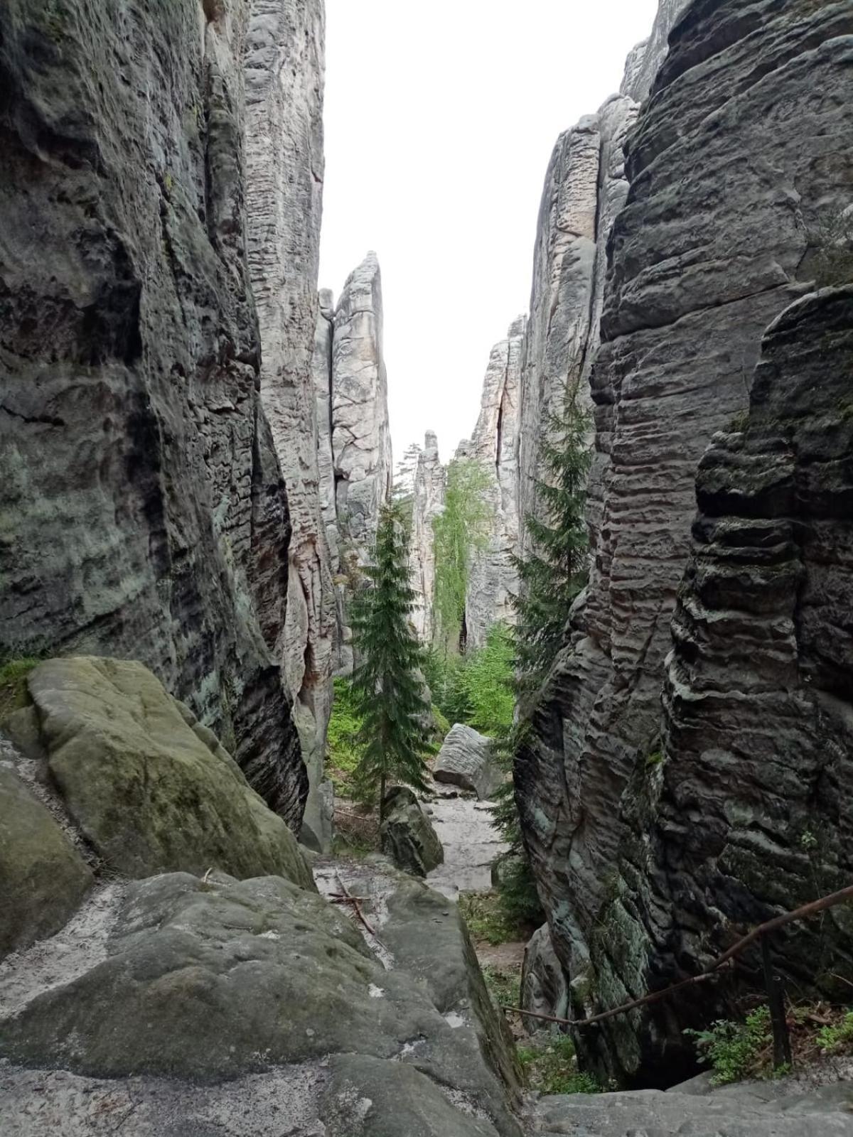 Penzion Jura Chřibská Exteriör bild