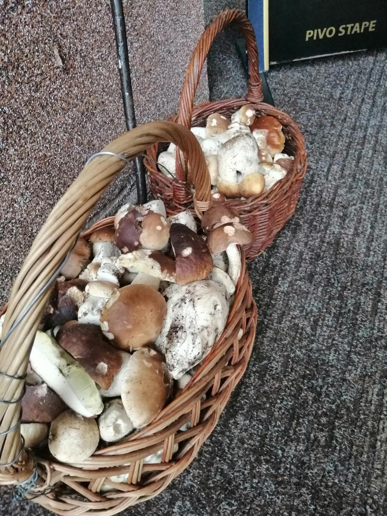 Penzion Jura Chřibská Exteriör bild