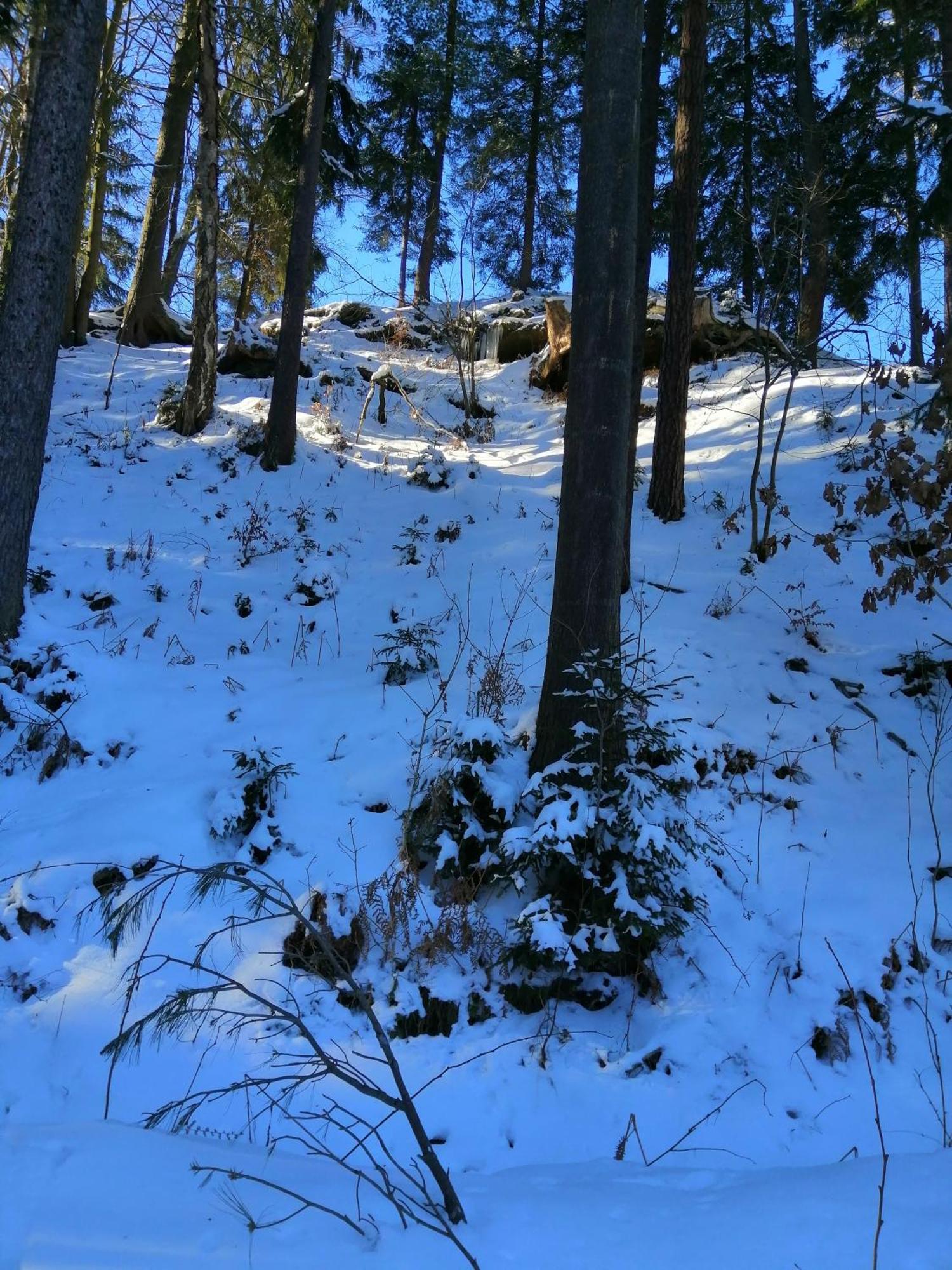 Penzion Jura Chřibská Exteriör bild